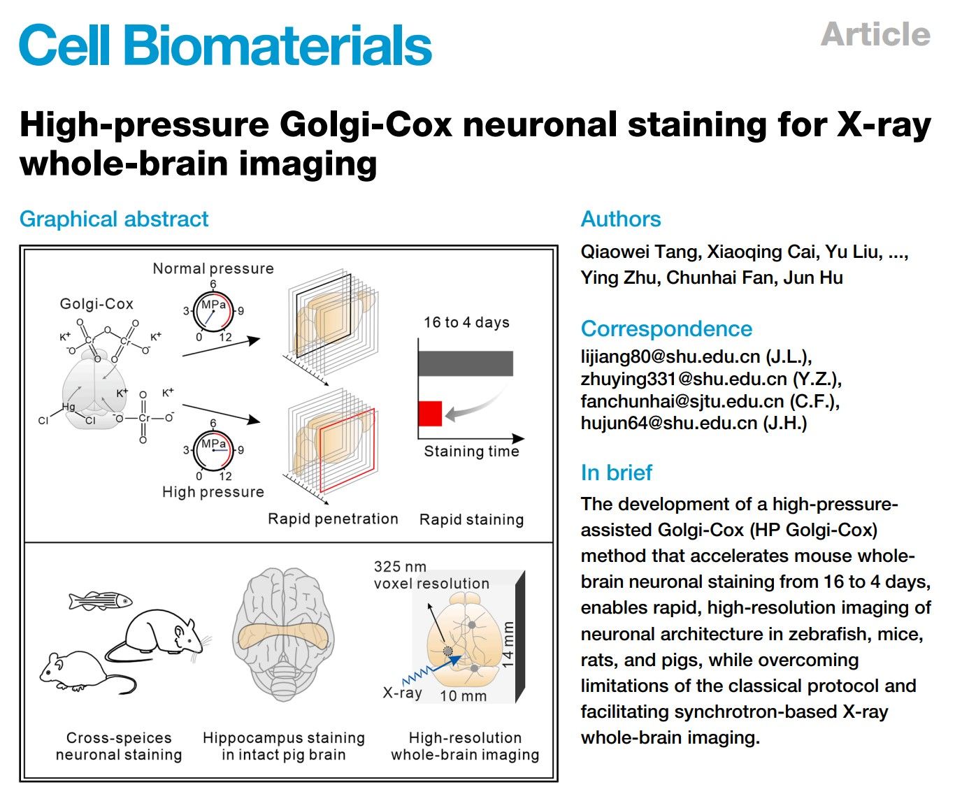 20251002-11.jpg 20251002-11.jpg